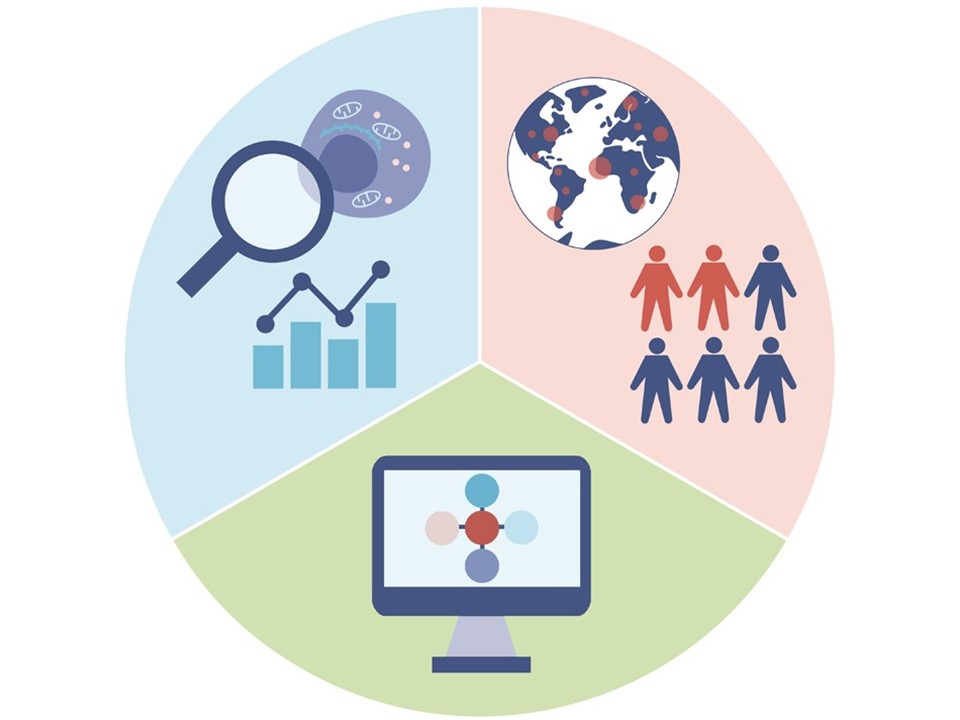 illustration of biostatistics